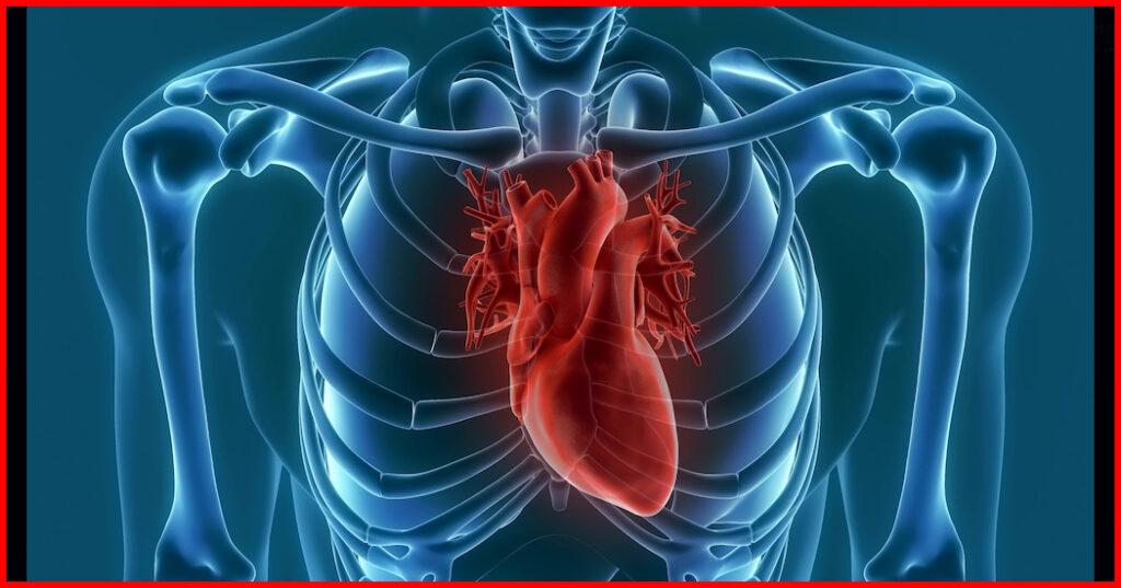 What are the signs before a heart attack? Heart attack