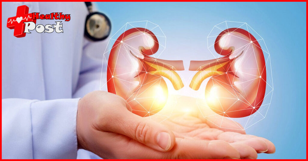 kidney transplantation and Life guideline after kidney transplantation Kidney