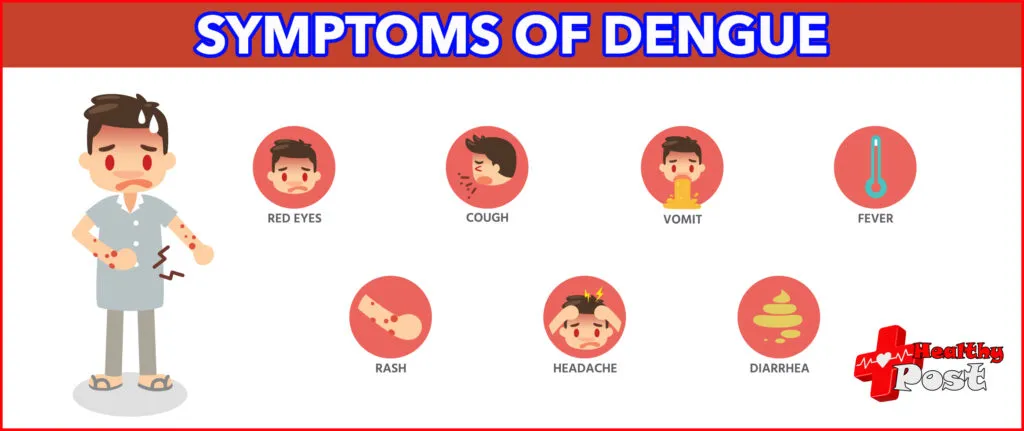 Symptoms of dengue fever