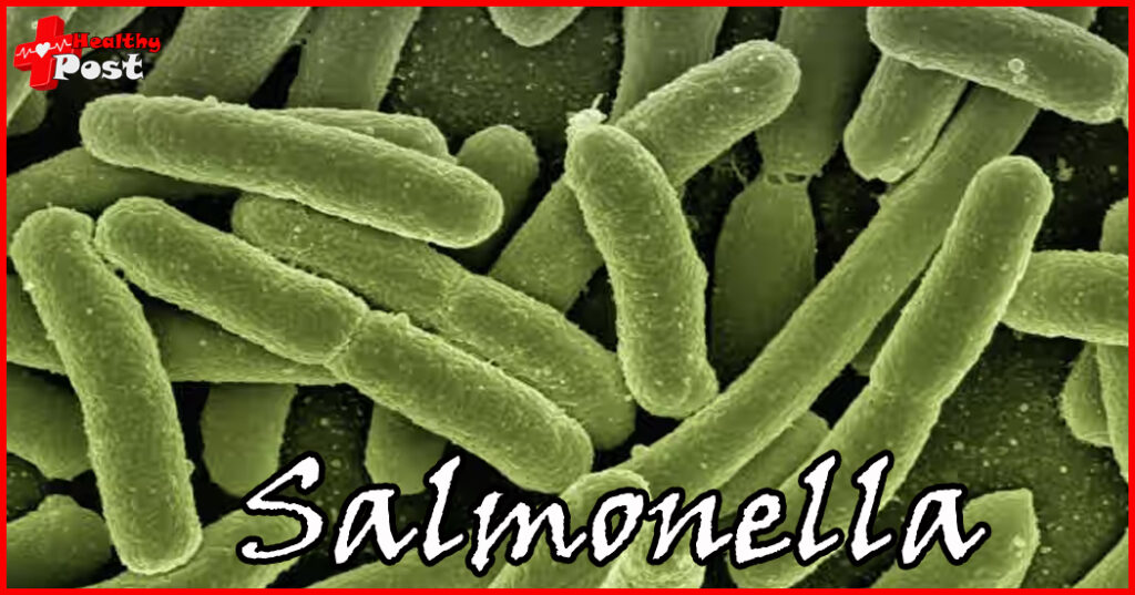 salmonella