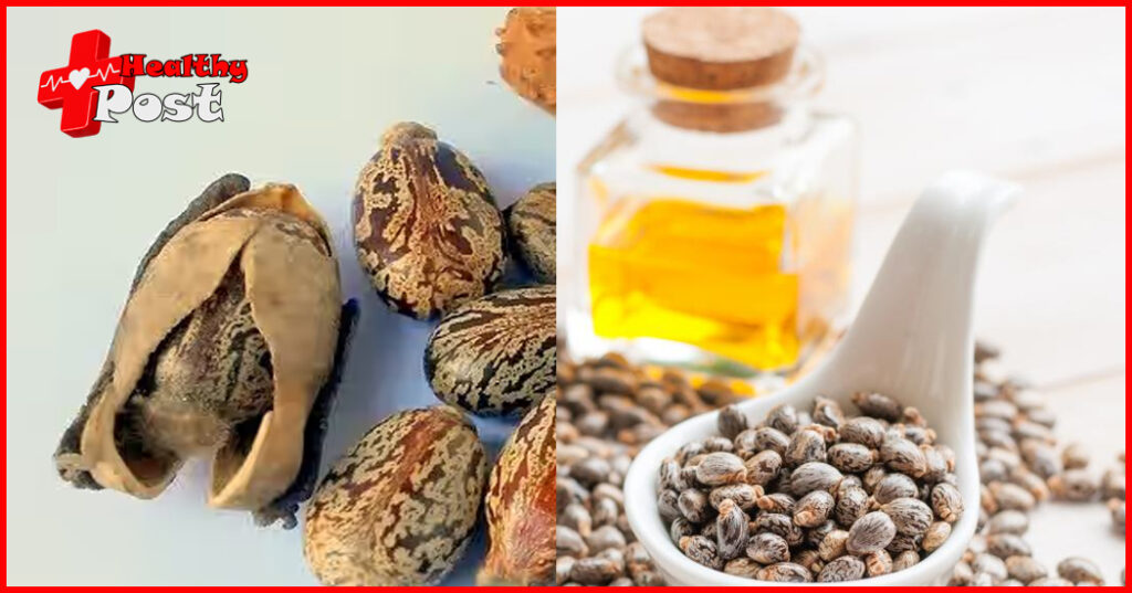 How to use castor oil to treat hair loss? Benefits of Castor Oil! Castor oil