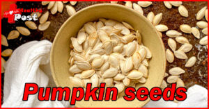 Pumpkin seeds
