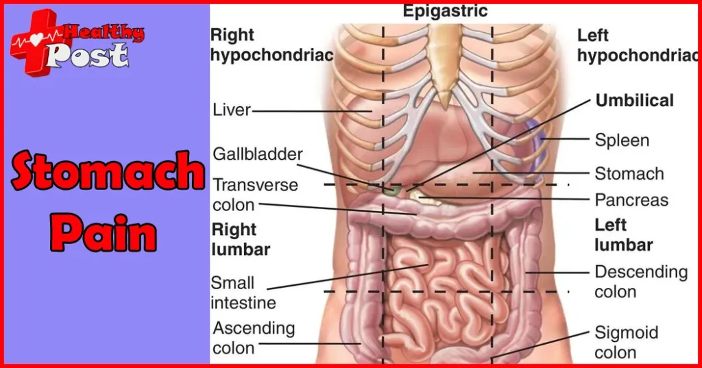 A medical diagram displaying the four abdominal quadrants to identify causes of stomach pain by area.