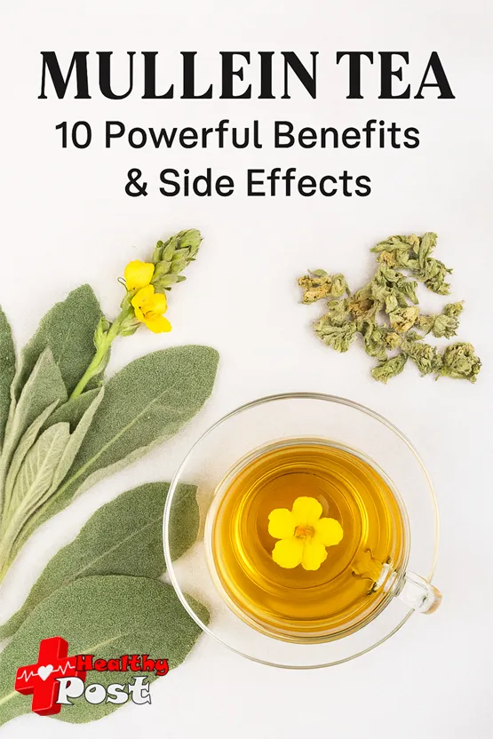 mullein tea