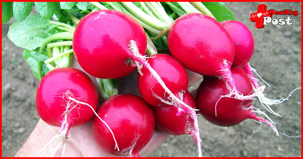 Cherry radish