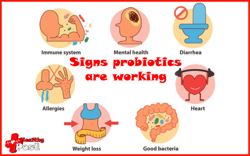 Signs probiotics are working