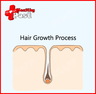 minoxidil beard Process