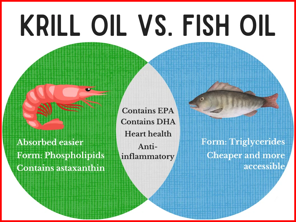 Fish Oil vs Krill Oil 