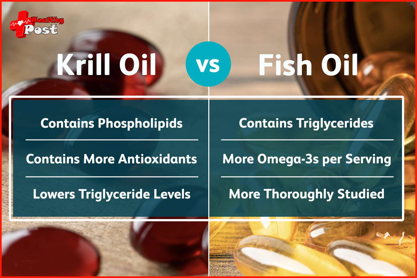 Fish Oil vs Krill Oil 