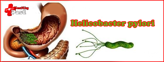 Helicobacter pylori