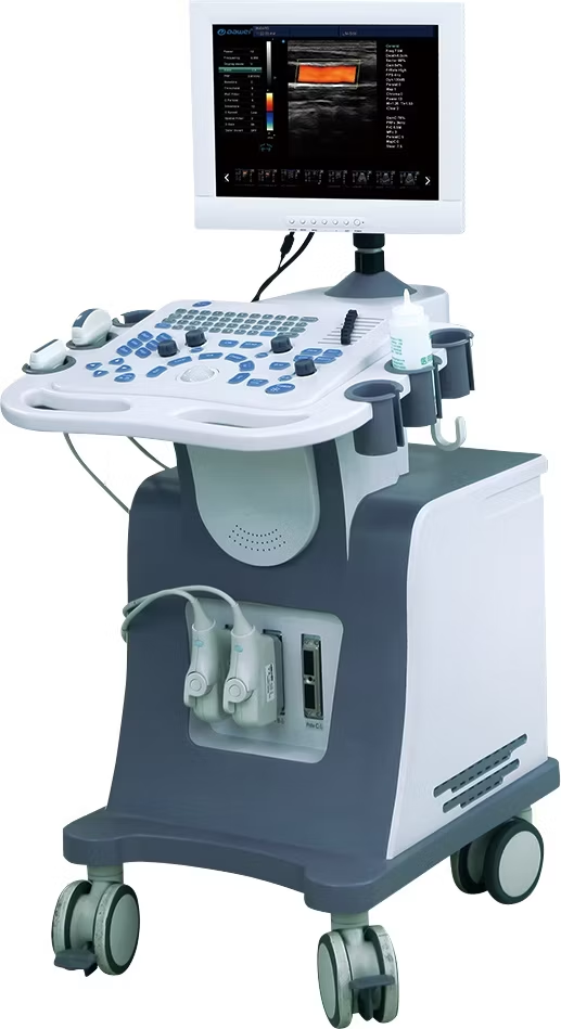 4D color ultrasound machine