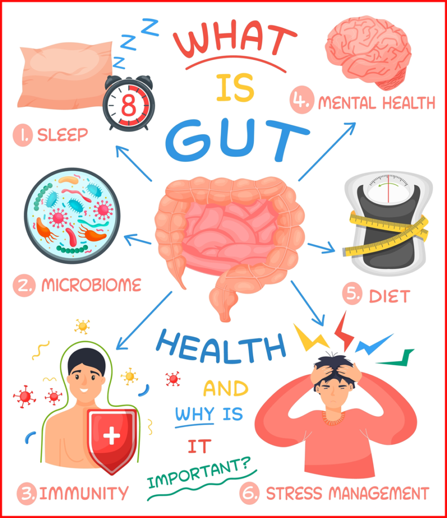 Gut health