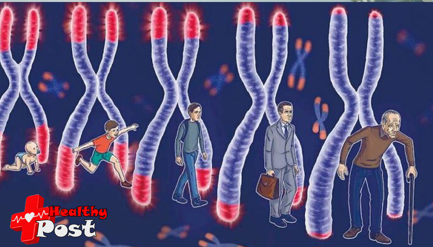 What is biological age