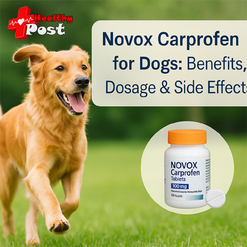novox carprofen
