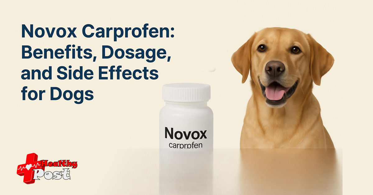 novox carprofen