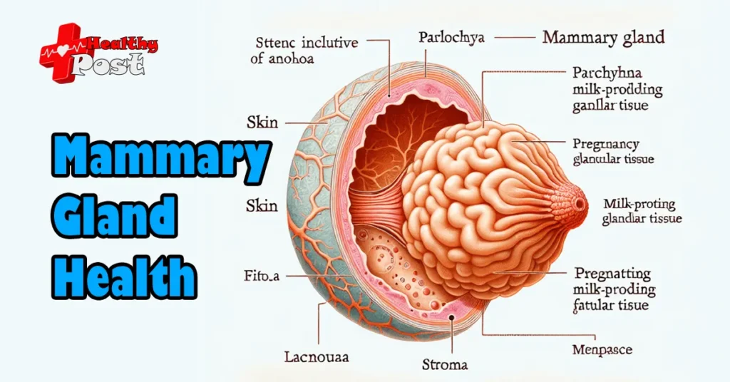 5 Shocking Truths About Mammary Gland Health You Shouldn’t Ignore Mammary gland