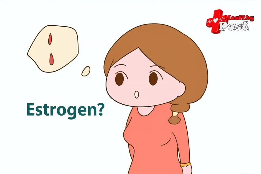 Estrogen