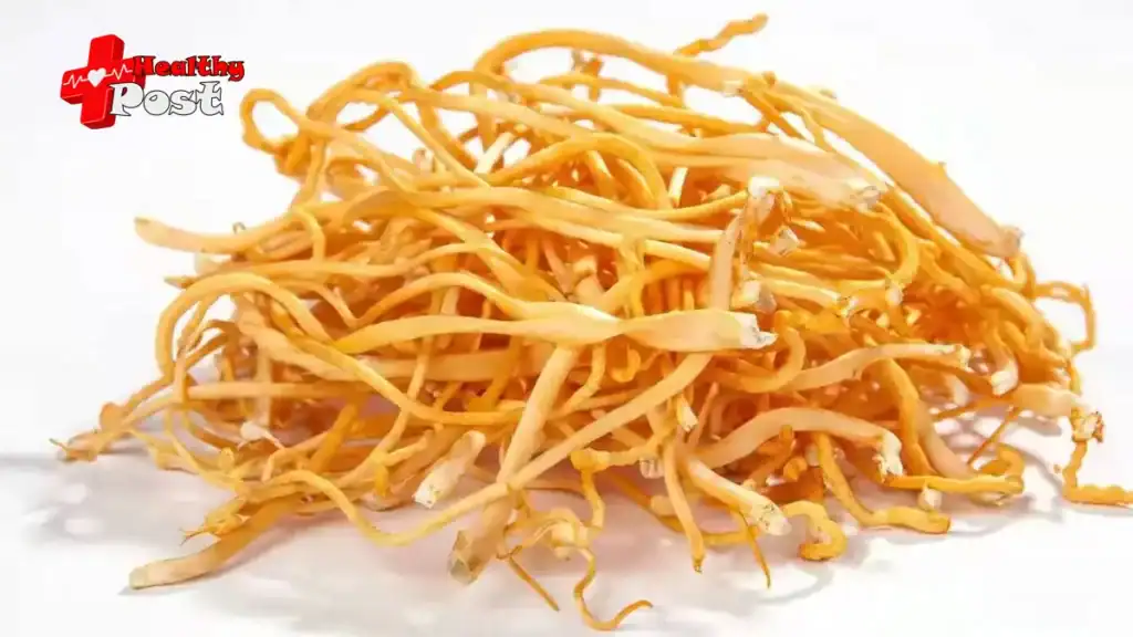 Pharmacological effects and health functions of Cordyceps sinensis cordyceps sinensis