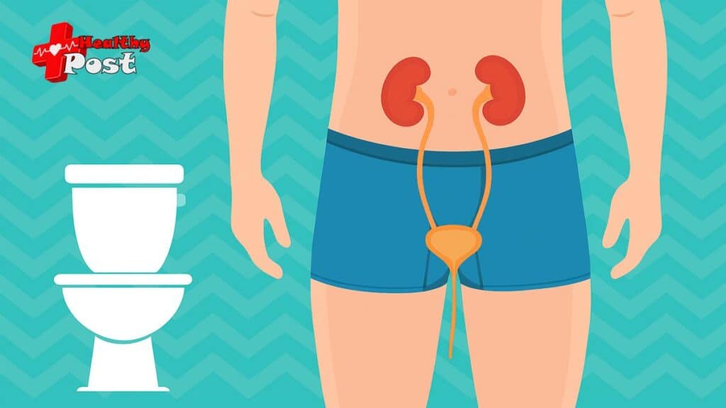 Slow Urine Flow Male: 7 Powerful Treatments That End Frustrating Delays slow urine flow male