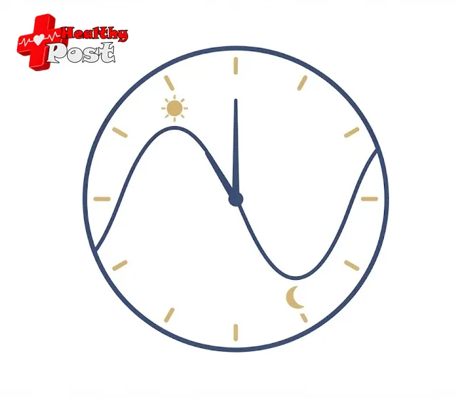 Clock-face illustration with a wave showing testosterone highest in the morning, lower in the afternoon and evening, and rising again overnight